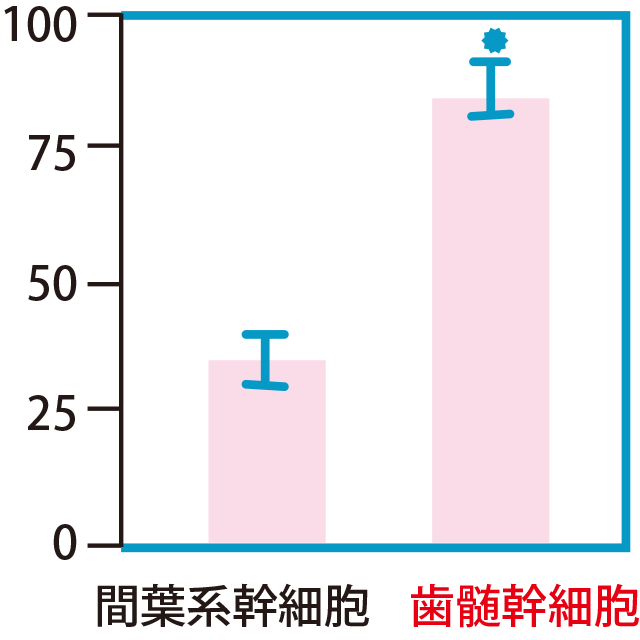 細胞分裂速度