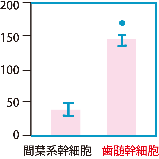 分裂の限界回数