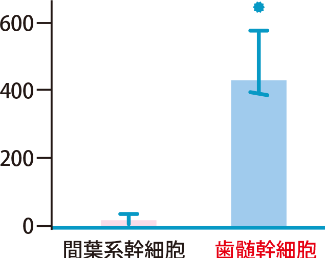 神経成長因子(NGF)分泌量