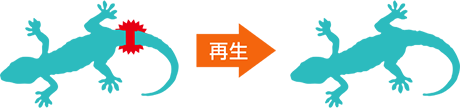 人間にも元々「再生する力」があります