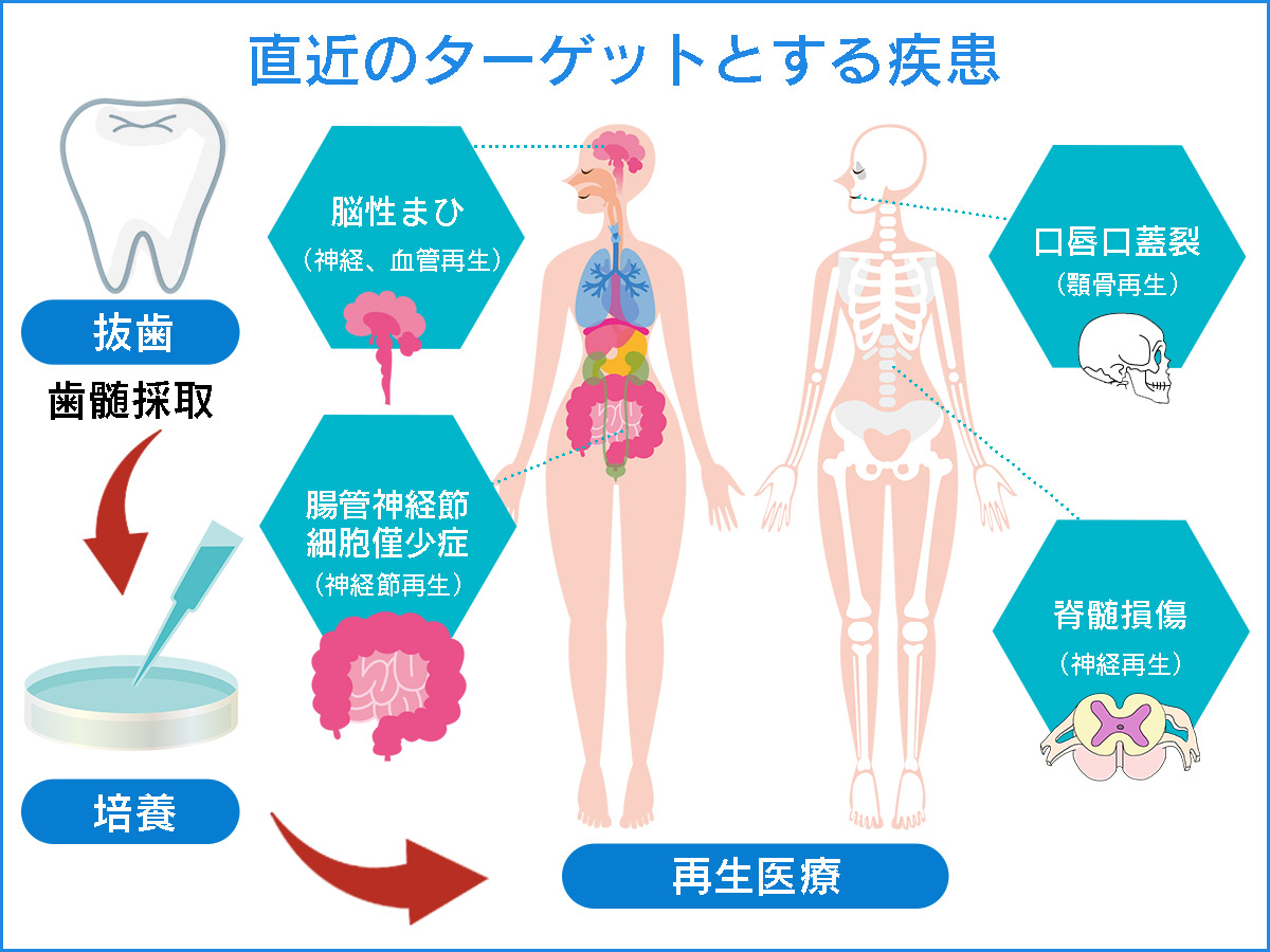 これからの取組み